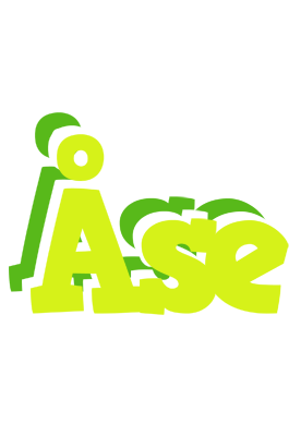 Åse citrus logo