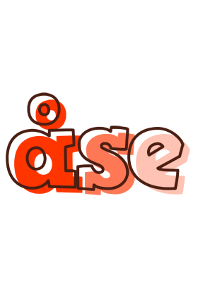 Åse paint logo