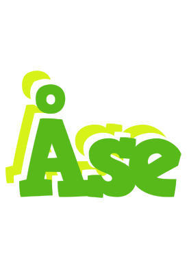 Åse picnic logo