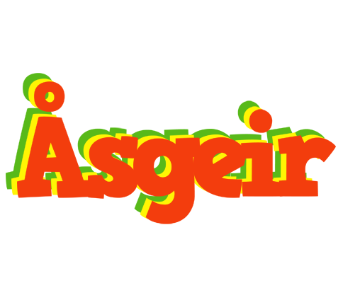 Åsgeir bbq logo