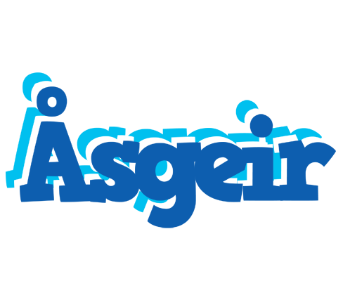 Åsgeir business logo