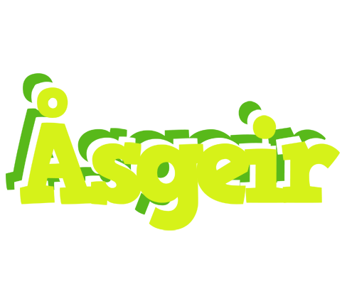 Åsgeir citrus logo