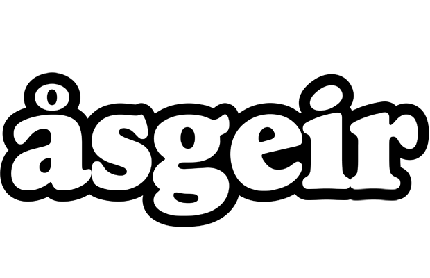Åsgeir panda logo