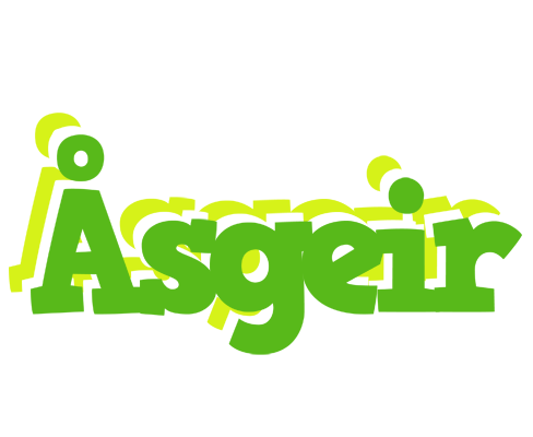 Åsgeir picnic logo