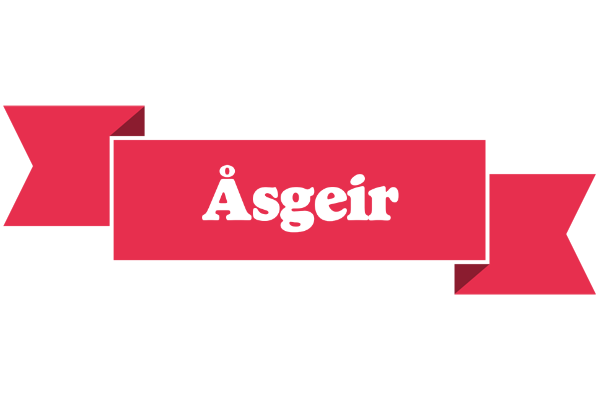Åsgeir sale logo