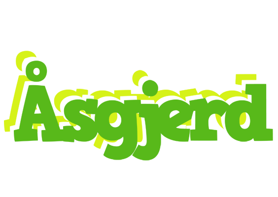 Åsgjerd picnic logo