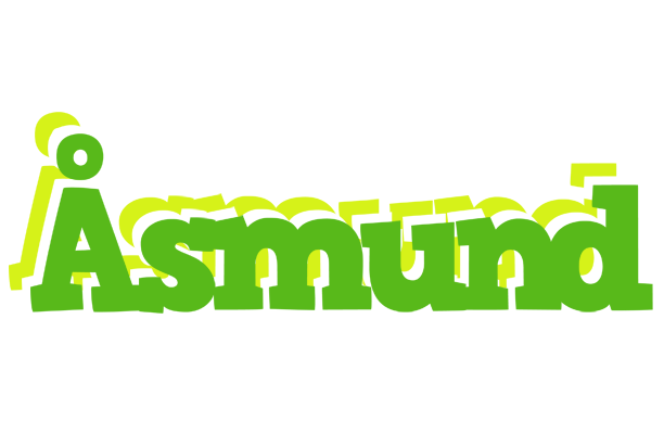 Åsmund picnic logo