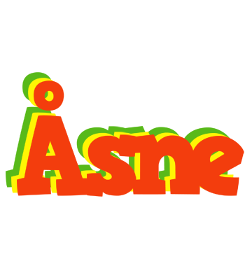 Åsne bbq logo