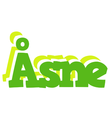 Åsne picnic logo