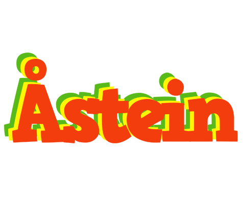 Åstein bbq logo