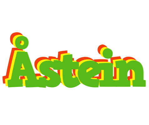 Åstein crocodile logo