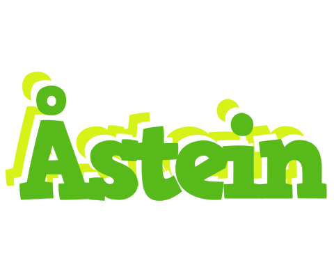 Åstein picnic logo