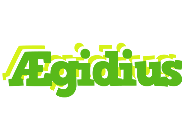 Ægidius picnic logo