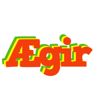 Ægir bbq logo