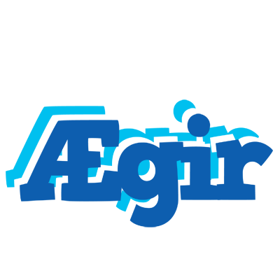 Ægir business logo