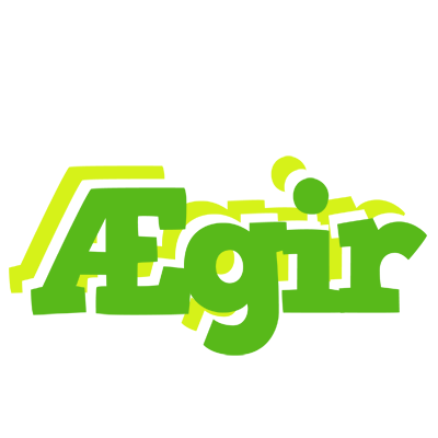 Ægir picnic logo