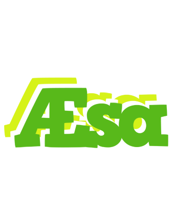 Æsa picnic logo