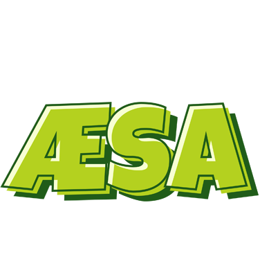 Æsa summer logo