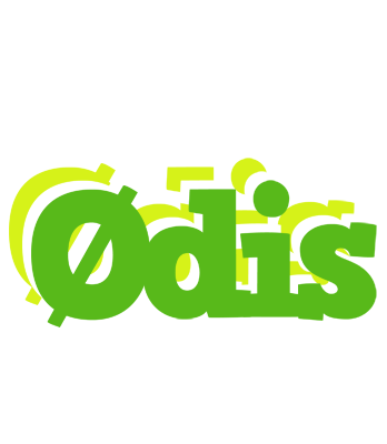 Ødis picnic logo