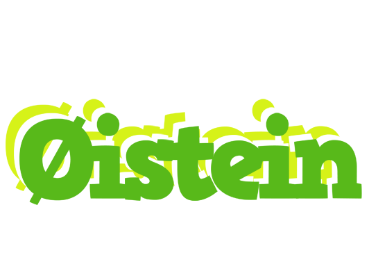 Øistein picnic logo