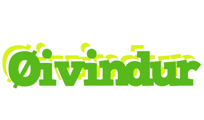 Øivindur picnic logo