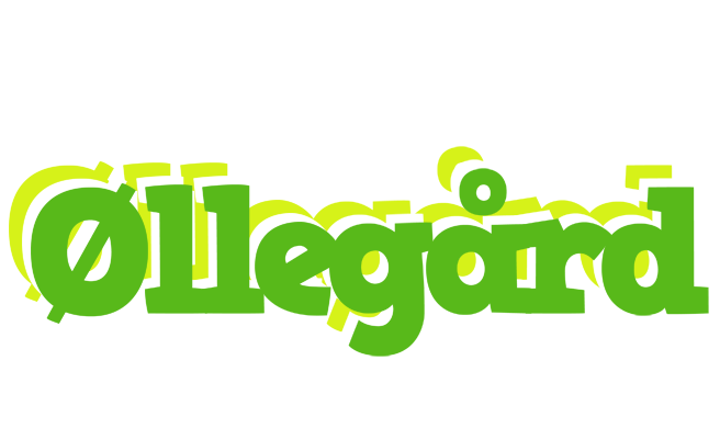 Øllegård picnic logo