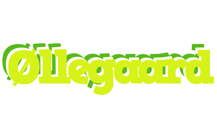 Øllegaard citrus logo