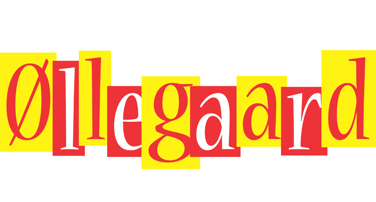 Øllegaard errors logo