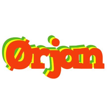 Ørjan bbq logo