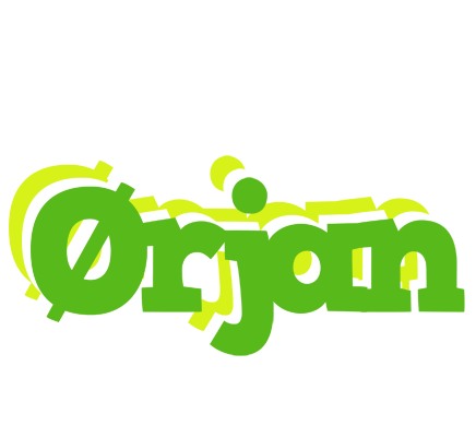 Ørjan picnic logo