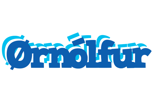 Ørnólfur business logo