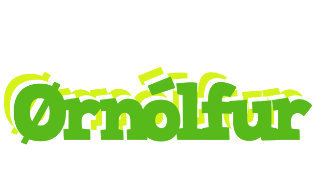 Ørnólfur picnic logo