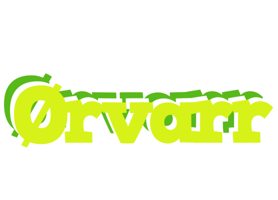 Ørvarr citrus logo