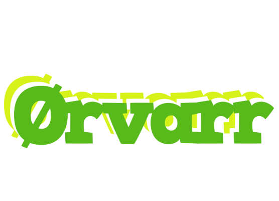 Ørvarr picnic logo