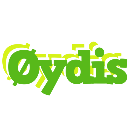 Øydis picnic logo