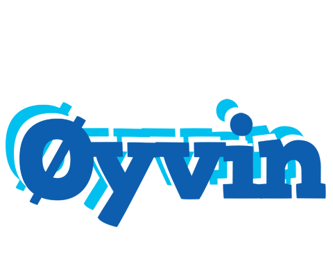 Øyvin business logo