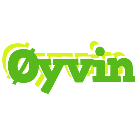 Øyvin picnic logo