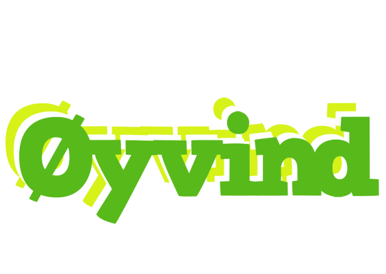 Øyvind picnic logo
