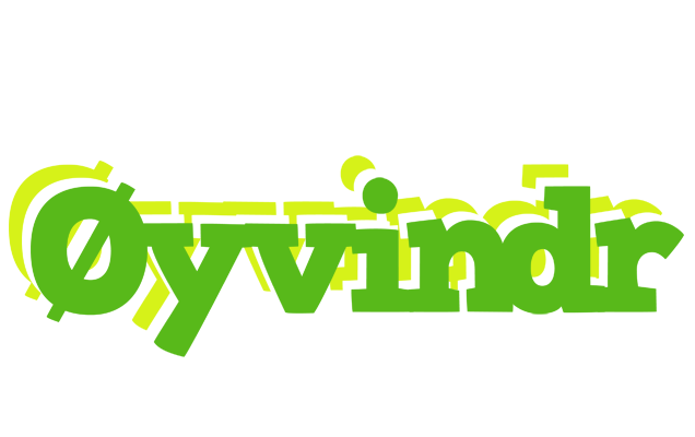 Øyvindr picnic logo
