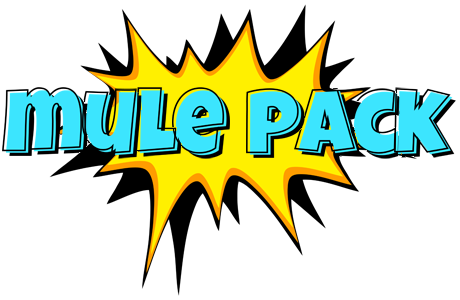 INDYCAR logo effect. Colorful text effects in various flavors. Customize your own text here: https://www.textgiraffe.com/logos/indycar/