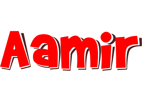 Aamir basket logo
