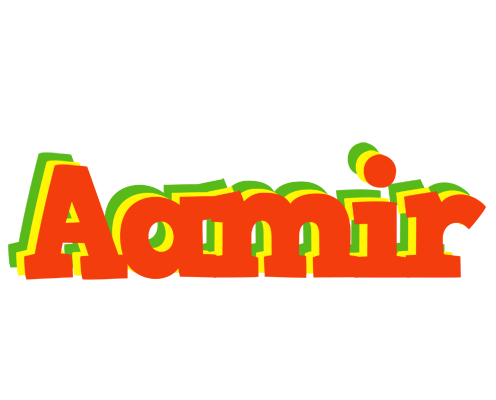 Aamir bbq logo