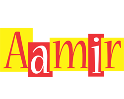 Aamir errors logo