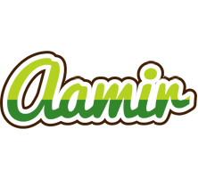 Aamir golfing logo