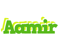 Aamir picnic logo