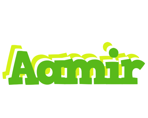 Aamir picnic logo