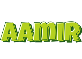 Aamir summer logo