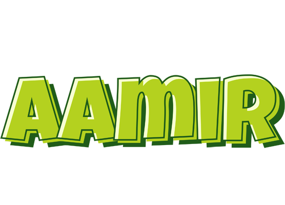 Aamir summer logo