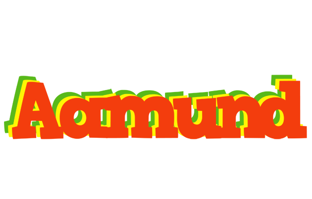Aamund bbq logo