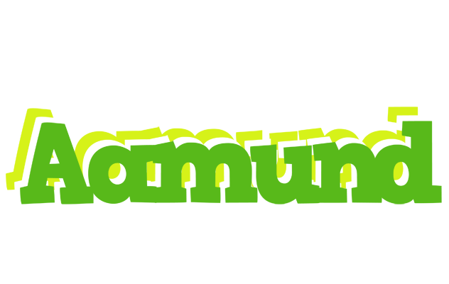 Aamund picnic logo